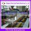 UPVC WPC profile production machines / upvc frame profile production line
