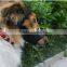 Nylon Pet Dog Muzzle cover / dog muzzle / dog mouth cover