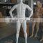 strong male muscle mannequin