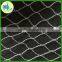 HDPE agricultural garden bird netting made in china