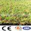 nature looking 20mm synthetic grass / artificial turf for garden
