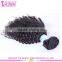 Stocks Kinky Curly Virgin Human Hair Wholesale Natural Black Brazilian Kinky Curly Remy Hair Weave
