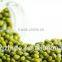 Green Mung Beans(New Crop High Quality )