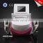 LM-S600I Cryo Weight Loss Cooling System Slimming Machine