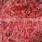 Best Quality Indian Dried Red Chilli for Distributor & Wholesalers