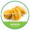 HIGH QUALITY FRESH MANGO /CAT HOA LOC MANGO