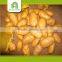 wholesale fresh potato wholesale 10kg carton