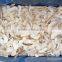 iqf frozen cultivated champignon button mushroom spawn