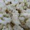 New crop frozen iqf cauliflower