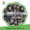 China High Quality Iqf Frozen Shiitake Mushroom