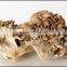 Best selling organic Dried Maitake Mushroom