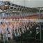 chicken slaughtering machine/halal chicken processing line