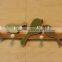 CY080 Wooden decorative bird wall hook wood hook Wooden decorative bird