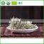Wholesale Organic Best White Tea Price Organic Silver Needle White tea