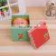 Apple fruit packaging boxes gift box packging for christmas