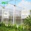 Agriculture greenhouse, polycarbonate greenhouse,polycarbonate sheet greenhouse