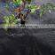agriculture plastic weed control/block fabric mat black rolls of plastic ground cover
