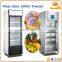 Supermarket Display Fridge,Showcase Freezer with LED light Inside