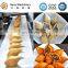 Manufacturing Industrial Small Kibbeh Encrusting Forming Machine