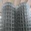 Galvanized welded wire mesh for Oman Market