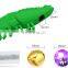 Amazon new pet cat toothbrush shrimp molar rod mint toy cat products