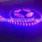 Shenzhen High Quality 5050 Led Flexible Strip Epistar 400nm uv Led Strip 5m/roll With 3 Years Warranty
