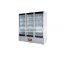 Deluxe Structure Stainless High-Technology Freezing Cabinet Company Freezer