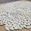 Rootstock seeds for watermelon and melon planting