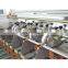 Chinese Manufacture High Speed Automatic 2 Rolls A4 Size Paper  Cutting Machine factory price