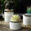 Amazon Hot Sold Gardening Home Plastic Wall Pots Fun Cordoba Mounted Orchids Artificial Flowers Balcony Hanging Flower Pot