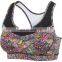 Breathable Compression Sexy Yoga Bra Crop Top Cheap Blank Crane Sports