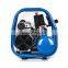 Bison China 230V 50Hz Custom OEM Super Silent Oil-free Air Compressor