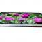 Wall Mounted 65 Inch hd lcd panel led backlight Digital Advertising Display