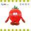 ICS Authorization factory soft toys fruits and vegetables