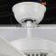 42 Inch Industrial Ceiling Fan with Light