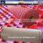 Hot New Design Bedroom Decoration Floor Carpet