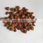 Dry Dog Food Pellet Making Machine, Dog Food Extruder with CE Certification ISO9001