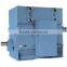 High Voltage 6KV 6000V 10KV 10000V Permanent Magnet Synchronous Motor 900KW 1000KW