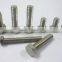 Hex bolt screw