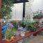 2015 New Garden Pergola Antique Style