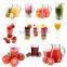 Best selling fruit juice extractor machine
