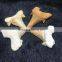 100% Natural Shark Teeth Fossils Pendants Fossils