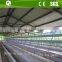 Poultry layer chicken use automatic wire mesh chicken cage system
