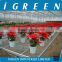 Commercial intelligent glass greenhouse for sale
