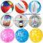 24" 3D transparent beach ball with animal inside
