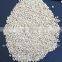 Snow white sorghum