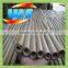 Bamboo poles support apple tree growing