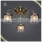 New Designs Indoor Decorative Light Fixture of Ceiling, Antique Ceiling Mounted Flower Glass Light