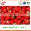Bulk High quality chinese Fresh Strawberry