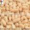Raw Blanched Peanut/cheap Blanched Peanuts/organic Blanched Peanuts